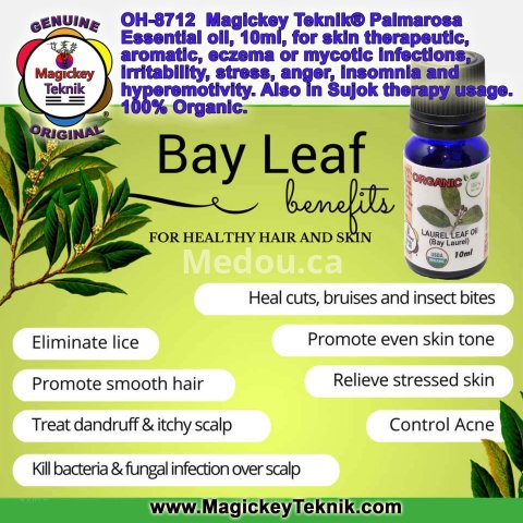 OH-8713 – Huile essentielle de Laurier Noble (Bay Laurel Leaf) | Magickey Teknik® 6