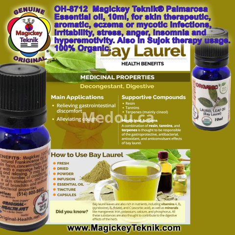 OH-8713 – Huile essentielle de Laurier Noble (Bay Laurel Leaf) | Magickey Teknik® 7
