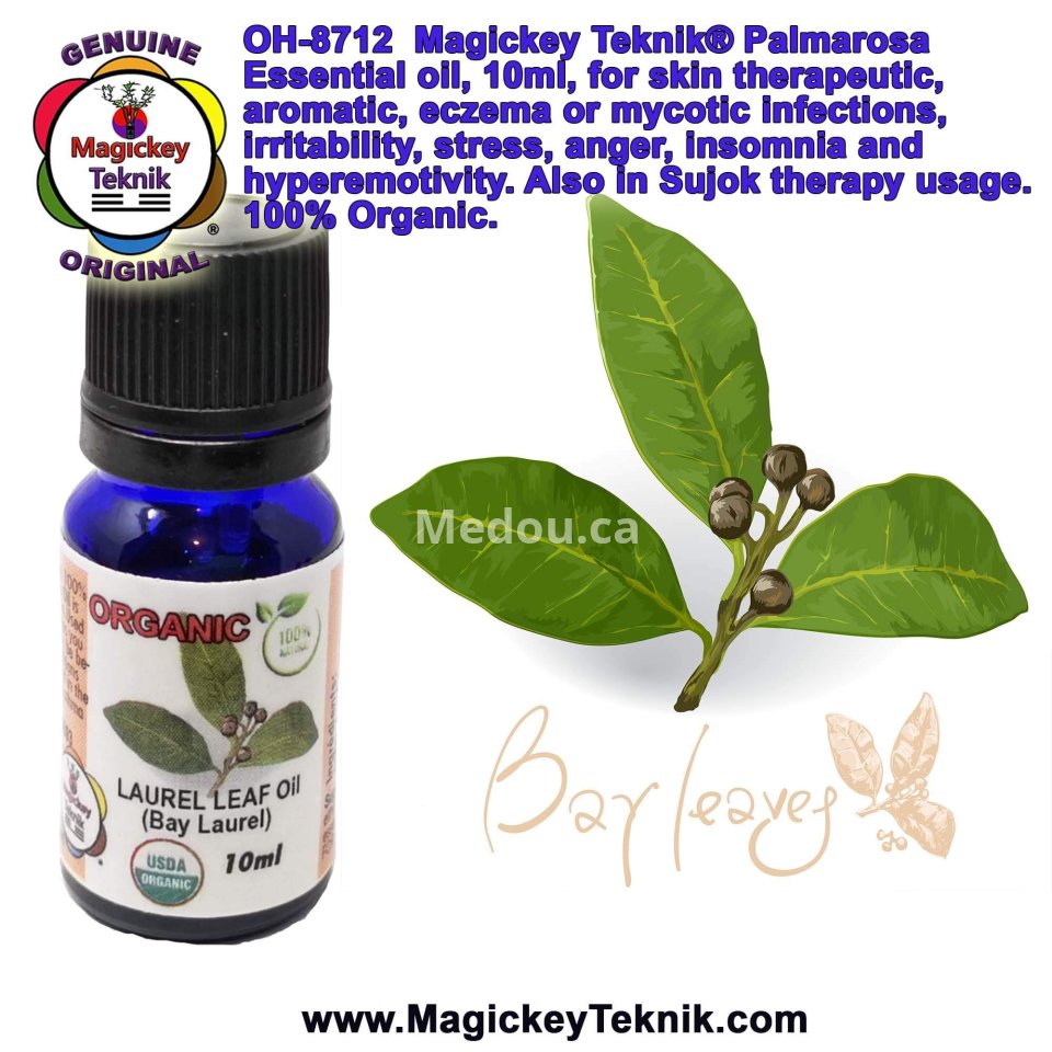 OH-8713 – Huile essentielle de Laurier Noble (Bay Laurel Leaf) | Magickey Teknik®