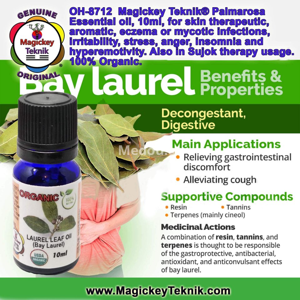 OH-8713 – Huile essentielle de Laurier Noble (Bay Laurel Leaf) | Magickey Teknik®
