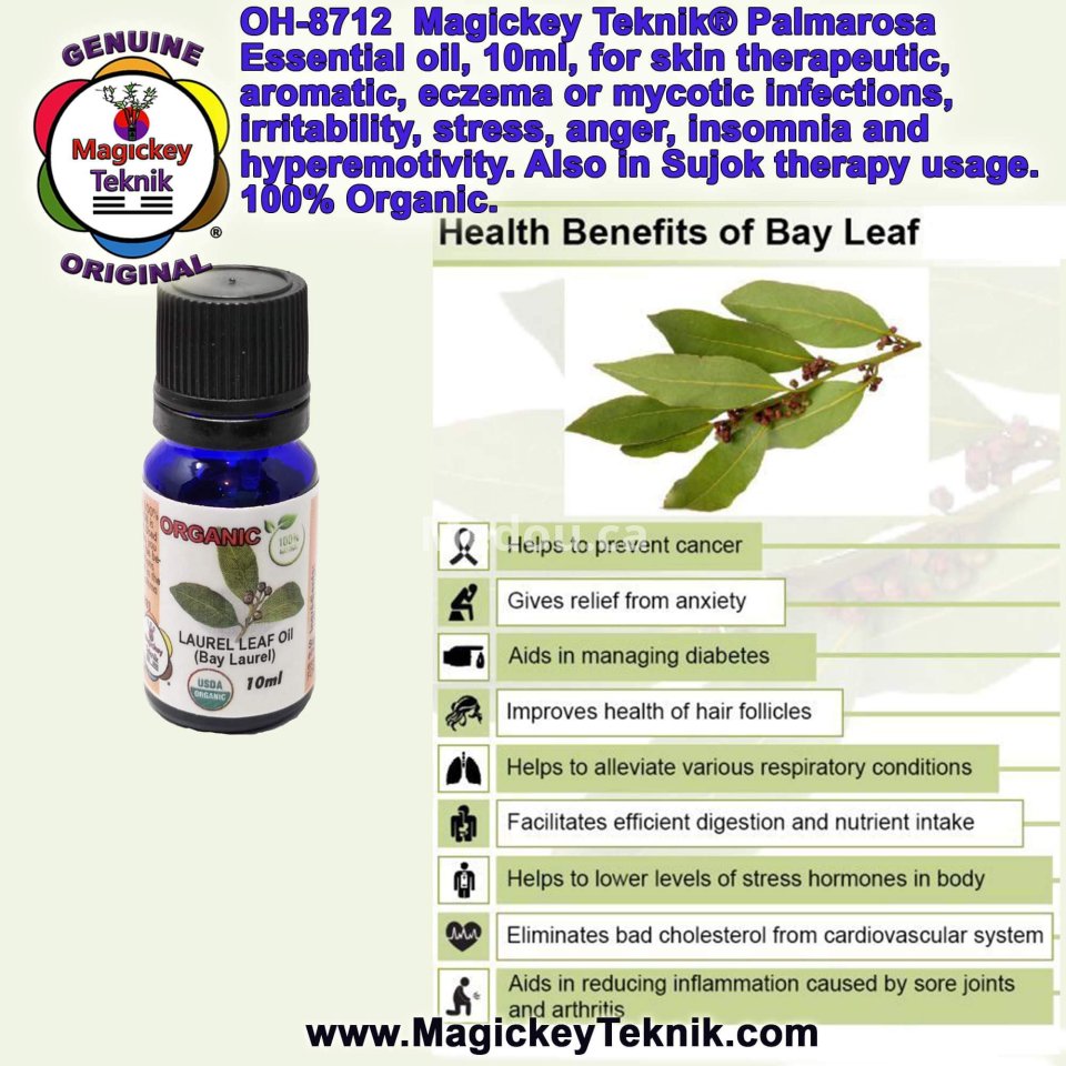 OH-8713 – Huile essentielle de Laurier Noble (Bay Laurel Leaf) | Magickey Teknik®
