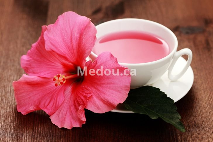 OH-9000 – 100% Natural Certified Organic Hibiscus Flower